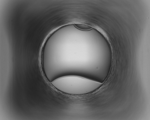 X0000100311104200806051323
