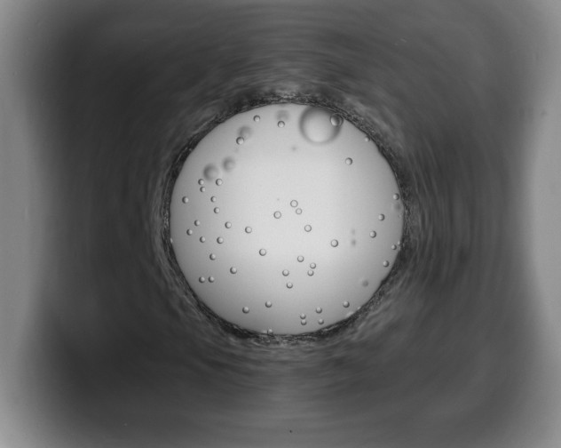 X0000100311105200806051322