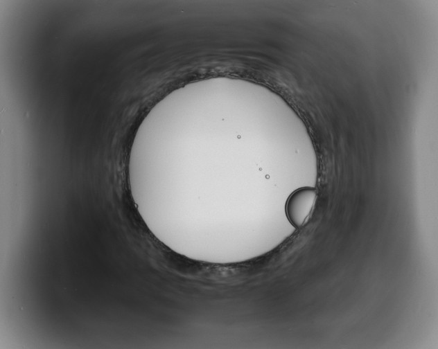 X0000100311109200806051322