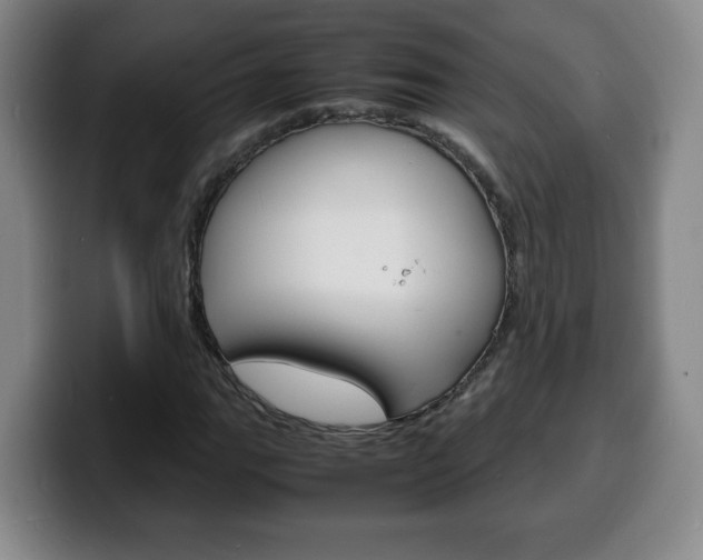 X0000100311111200806051323
