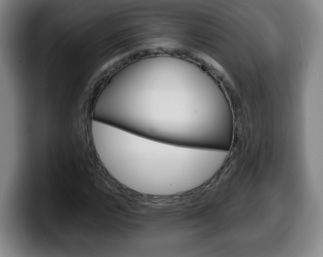 X0000100311112200806051323