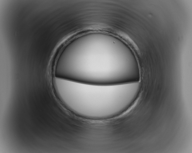 X0000100311114200806051323
