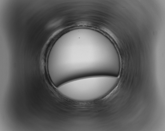 X0000100311115200806051323