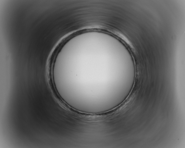 X0000100311116200806051323