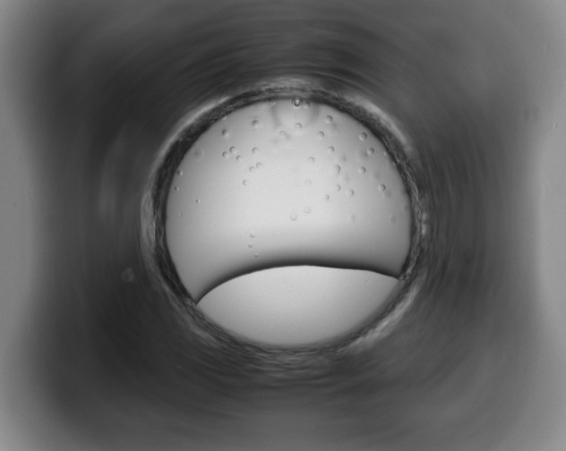 X0000100311117200806051323