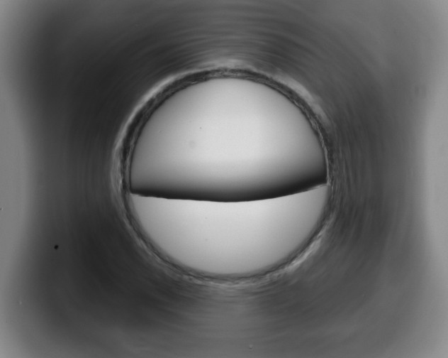 X0000100311118200806051323