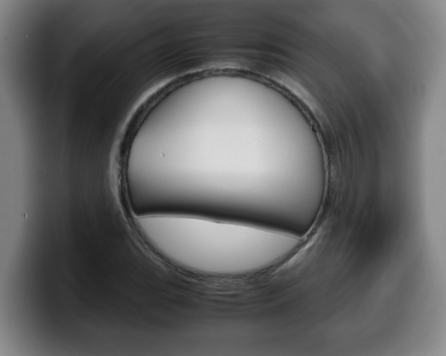 X0000100311119200806051323