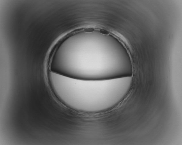 X0000100311120200806051323