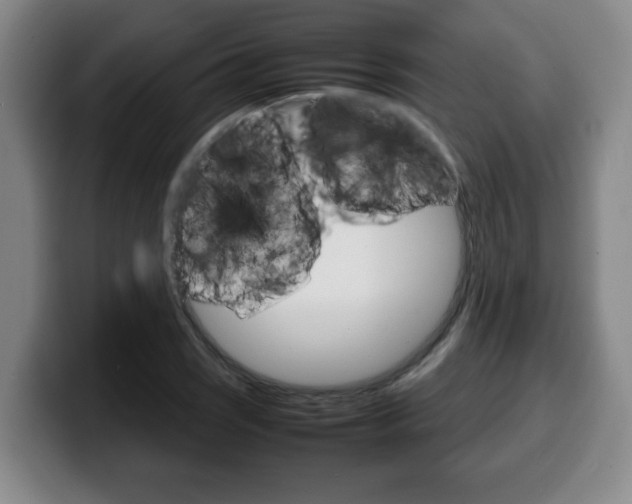 X0000100311121200806051323