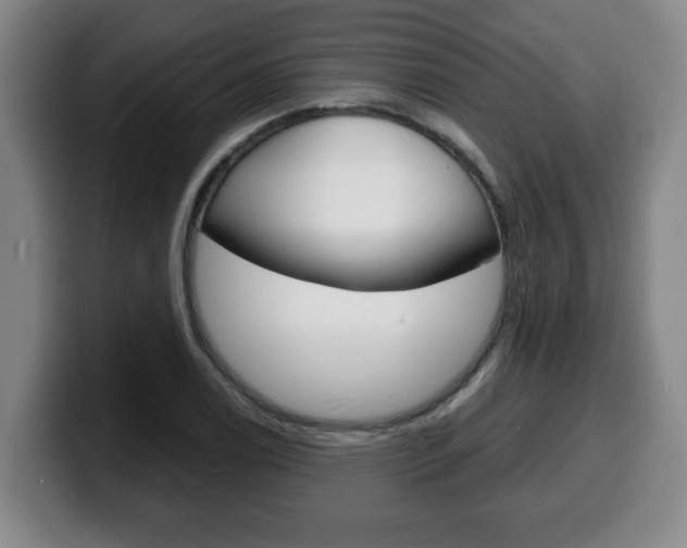 X0000100311122200806051323