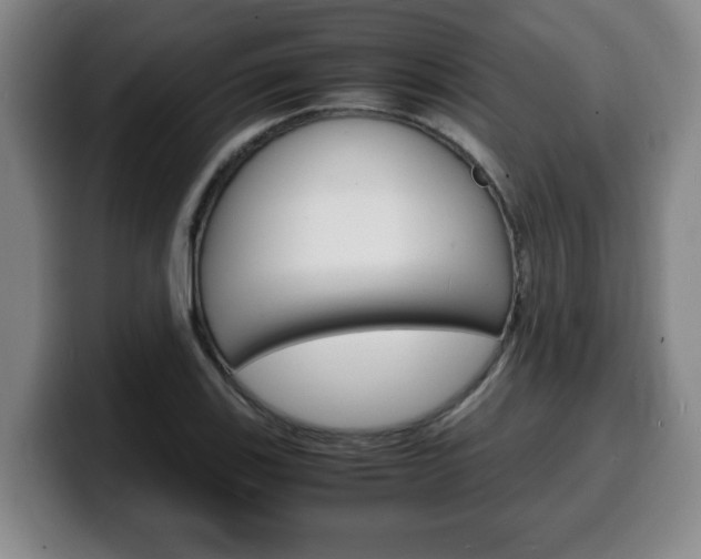X0000100311123200806051323