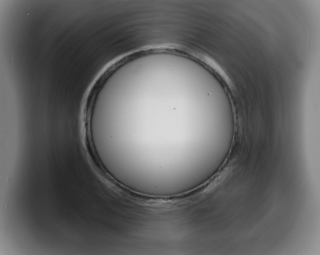 X0000100311124200806051323