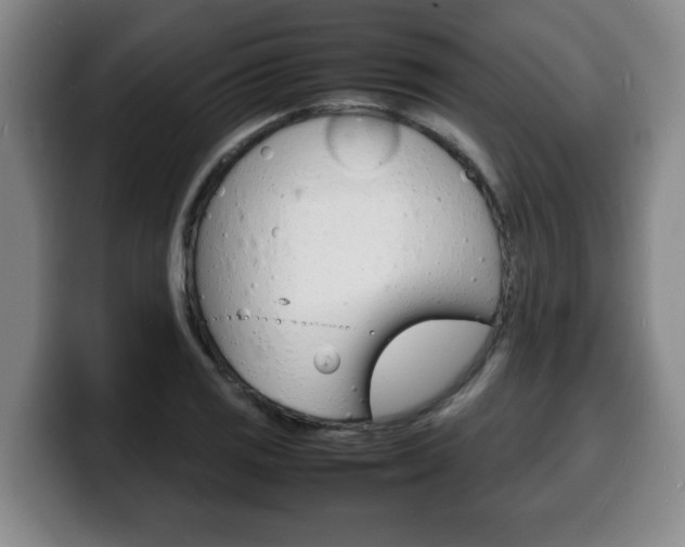 X0000100311125200806051323