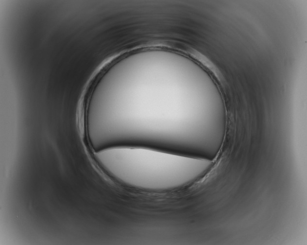 X0000100311127200806051323