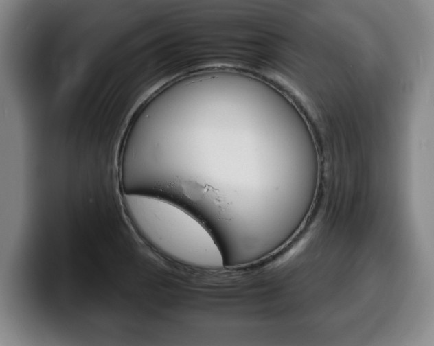X0000100311129200806051323