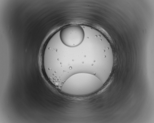X0000100311130200806051323