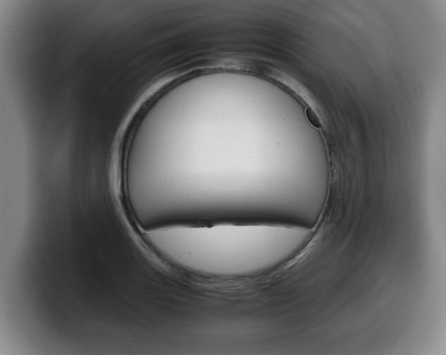 X0000100311131200806051323