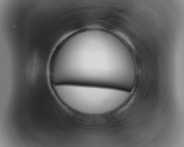 X0000100311133200806051323