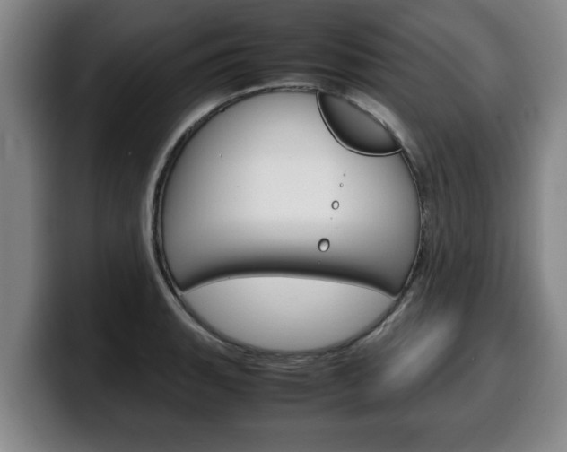 X0000100311135200806051323