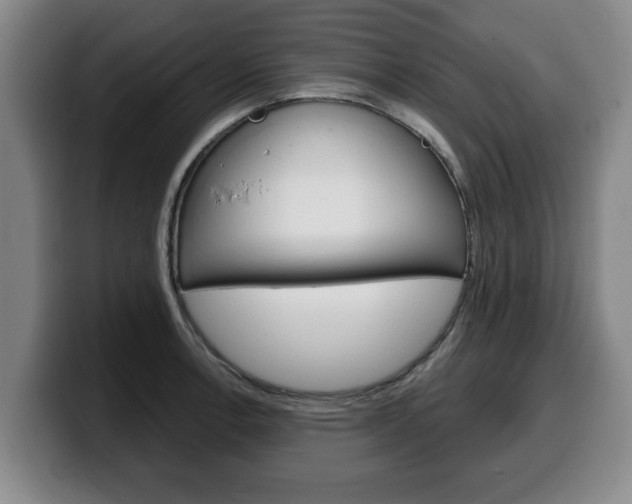X0000100311138200806051323