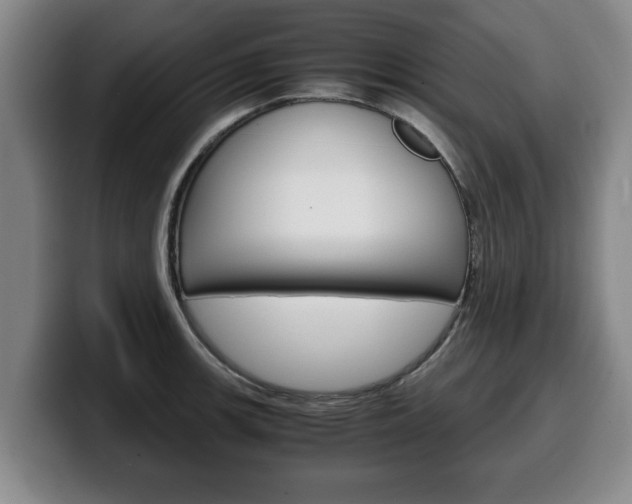 X0000100311139200806051323