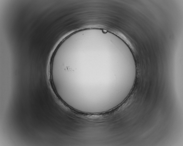 X0000100311140200806051323