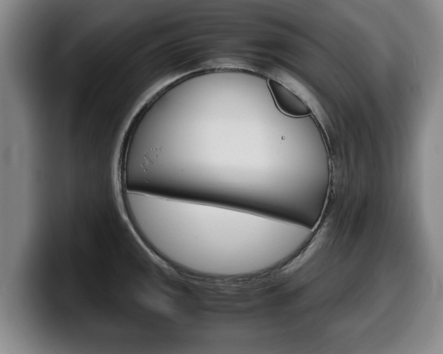 X0000100311141200806051323
