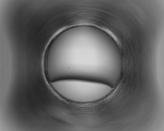 X0000100311142200806051323