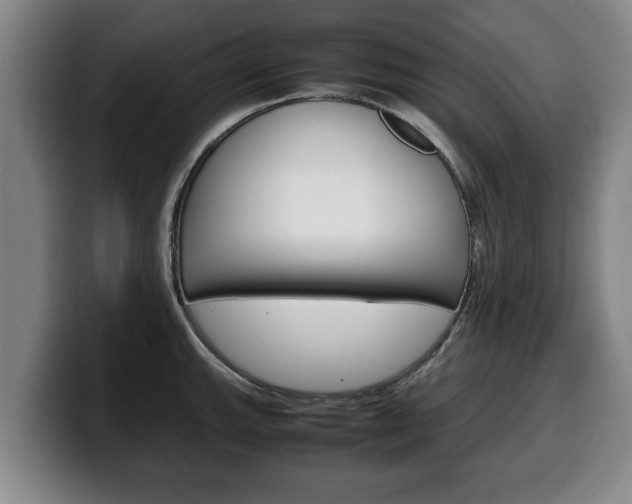 X0000100311143200806051323