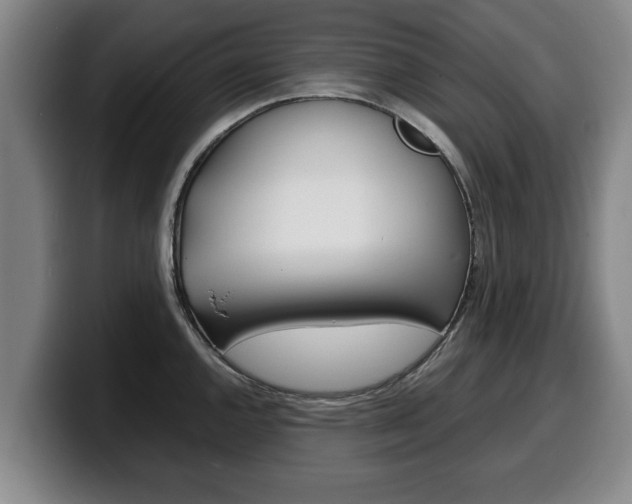 X0000100311144200806051323