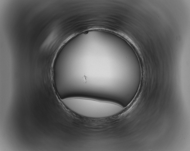 X0000100311145200806051323
