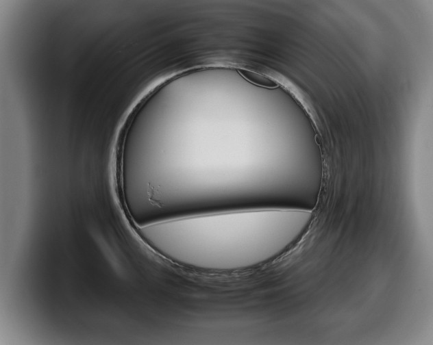 X0000100311147200806051323