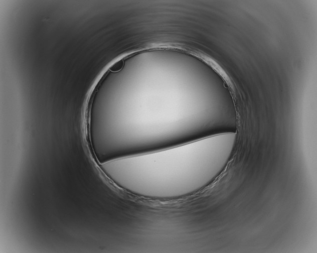 X0000100311148200806051323