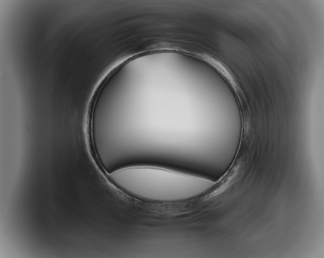 X0000100311149200806051323