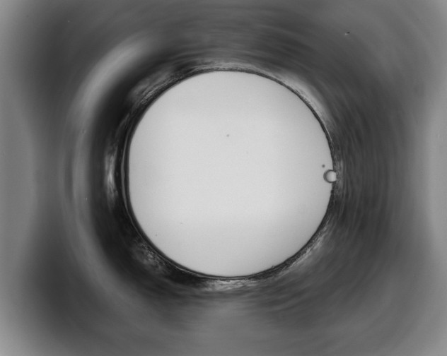 X0000100311150200806051323