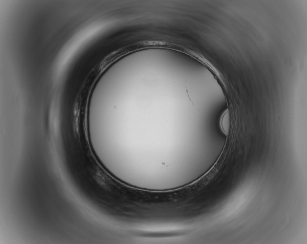 X0000100311151200806051323
