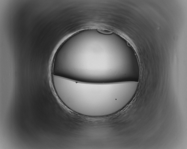 X0000100311152200806051323