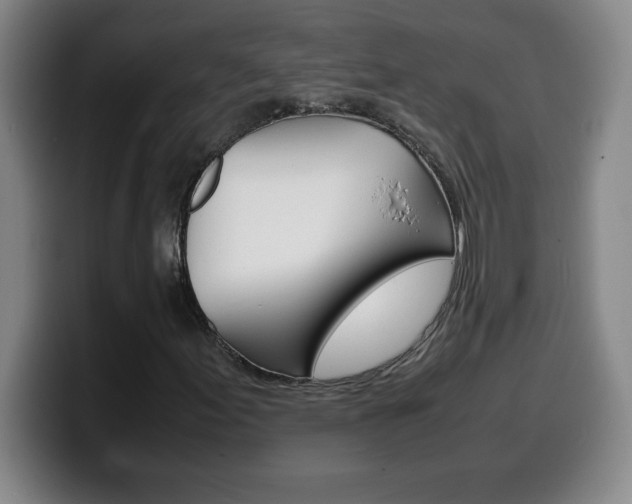 X0000100311155200806051322
