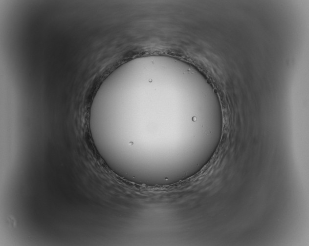 X0000100311157200806051322