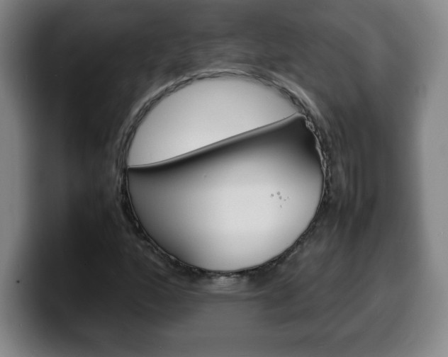 X0000100311160200806051322