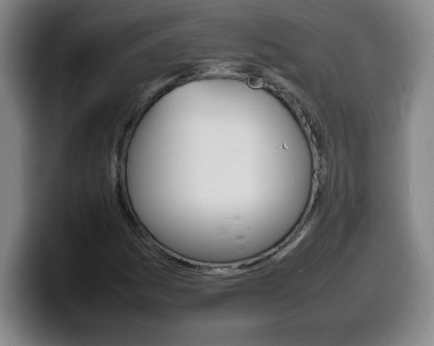 X0000100311161200806051322