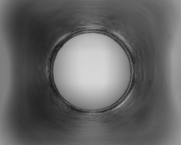 X0000100311163200806051322