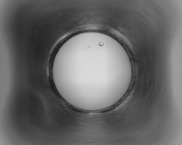 X0000100311166200806051322