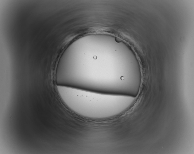X0000100311169200806051322