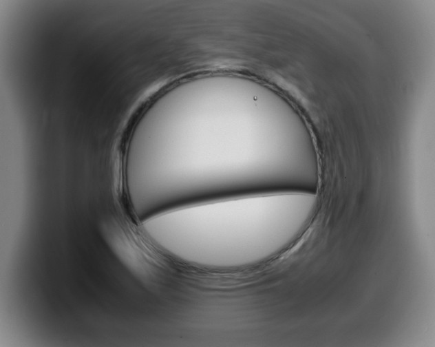 X0000100311171200806051322