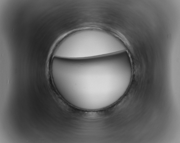 X0000100311172200806051322