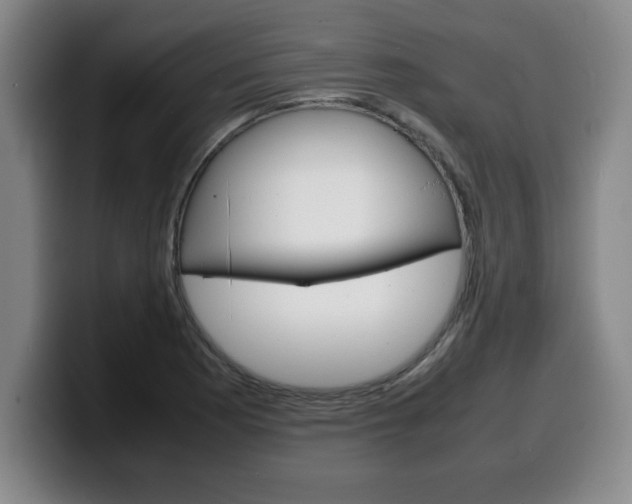 X0000100311177200806051322