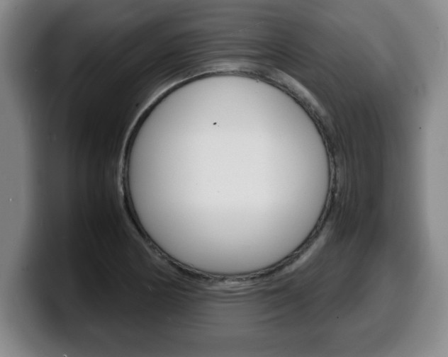 X0000100311178200806051322