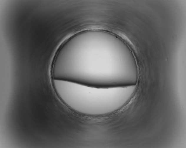 X0000100311181200806051322