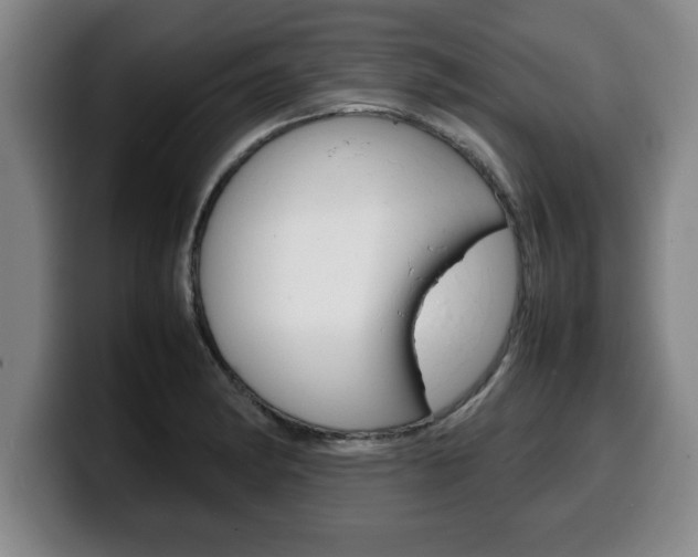 X0000100311182200806051322